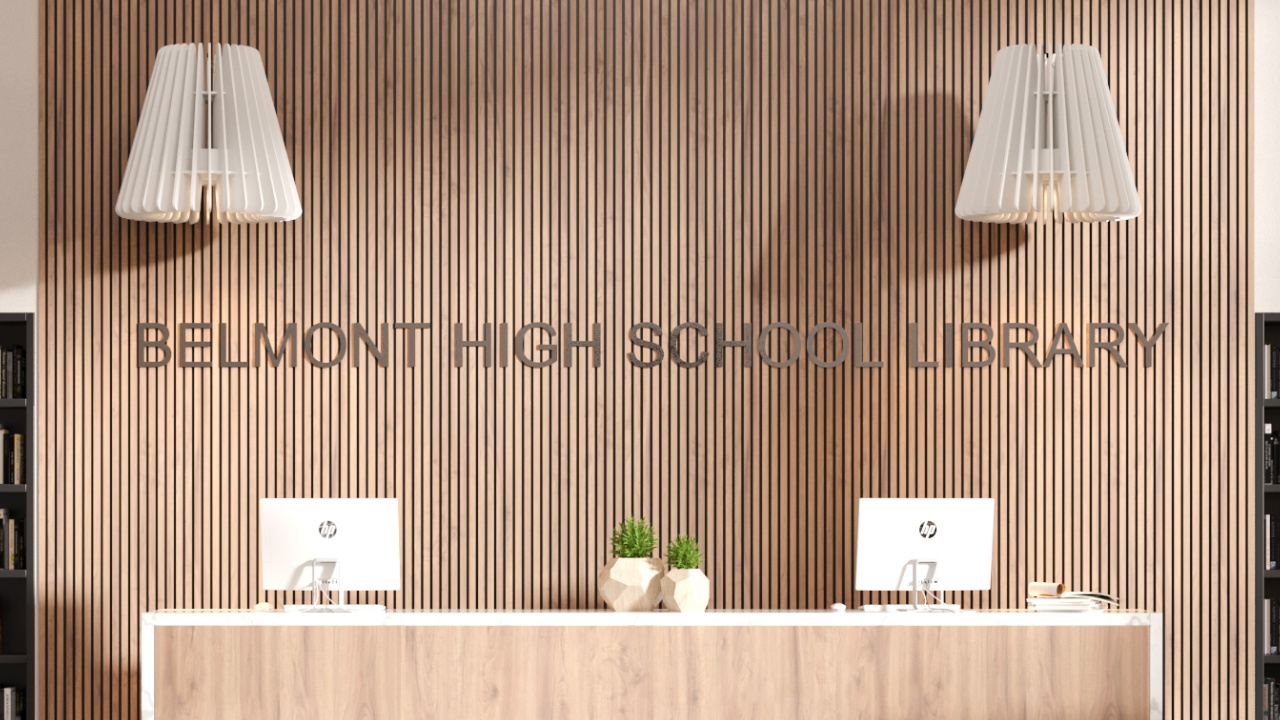PET/Wood Slat Walls & Ceilings